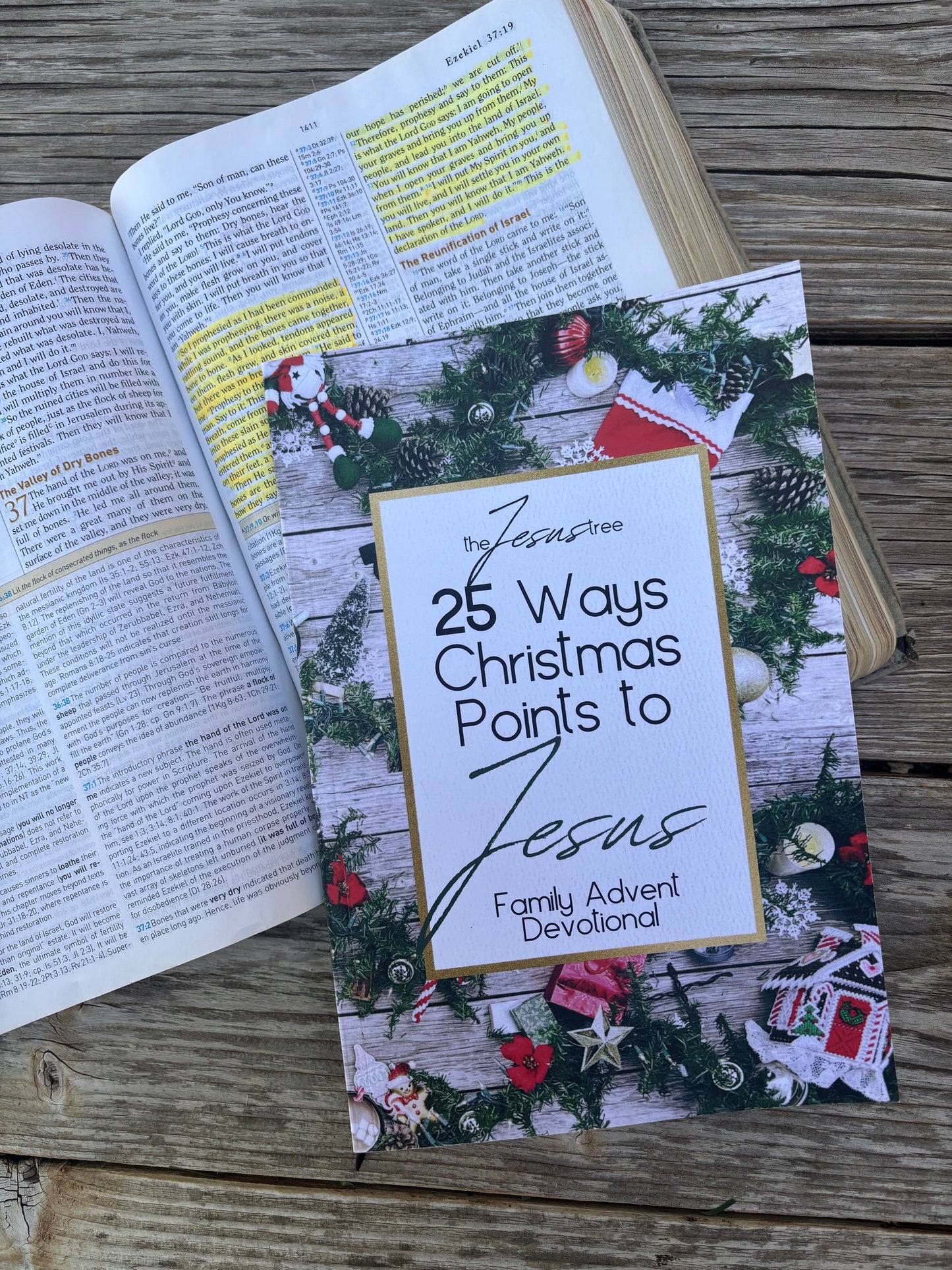 25 Ways Christmas Points to Jesus: Family Advent Devotional