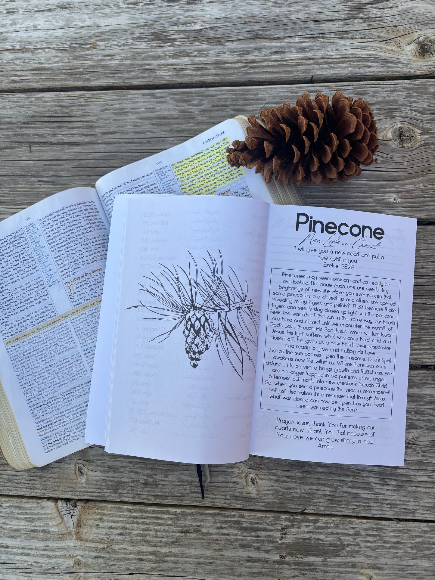 25 Ways Christmas Points to Jesus: Family Advent Devotional