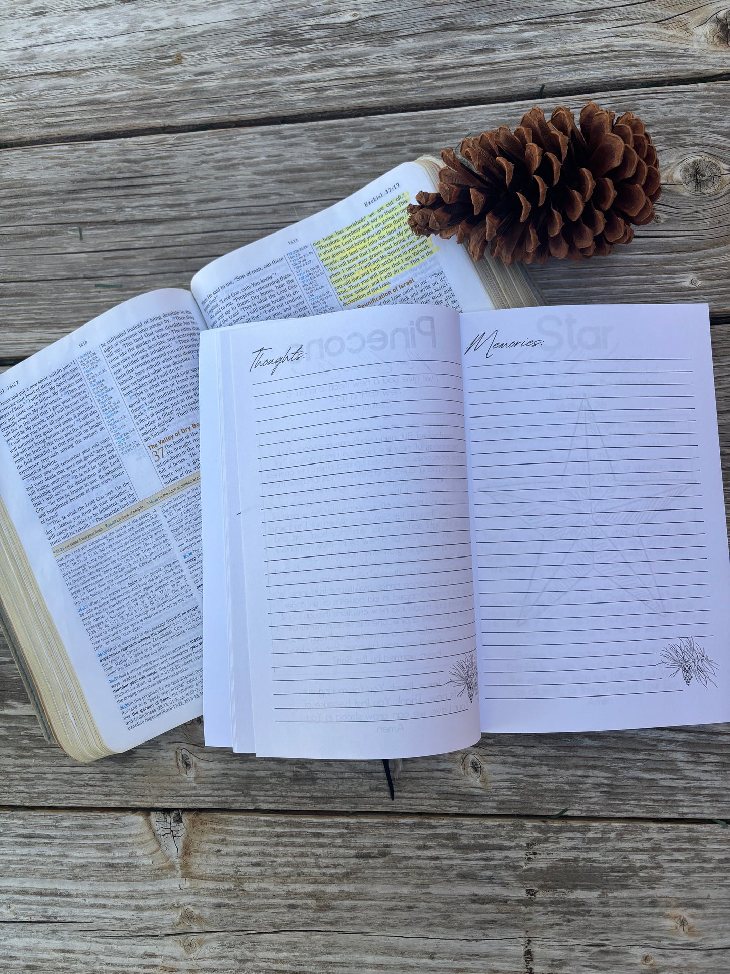 25 Ways Christmas Points to Jesus: Family Advent Devotional